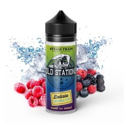 Steam Train Old Stations - Delizia Double Ice 120ml